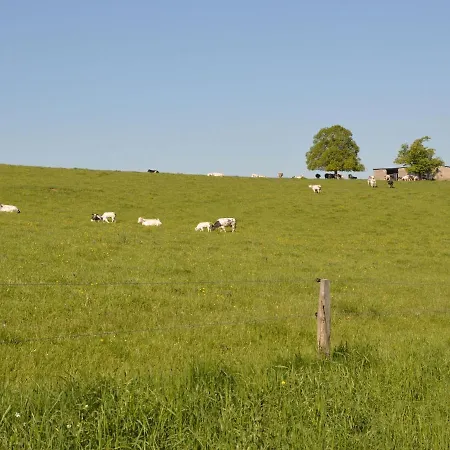 Holiday home Peaceful Holiday In Somme-leuze With Sauna Noiseux